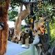 Toy tree spreads joy through Brisbane suburb 
