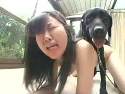 Asian dog fapzoo jpg x Asian dog