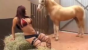 Horse fuck extreme porn video luxuretv jpg x Sex with horse