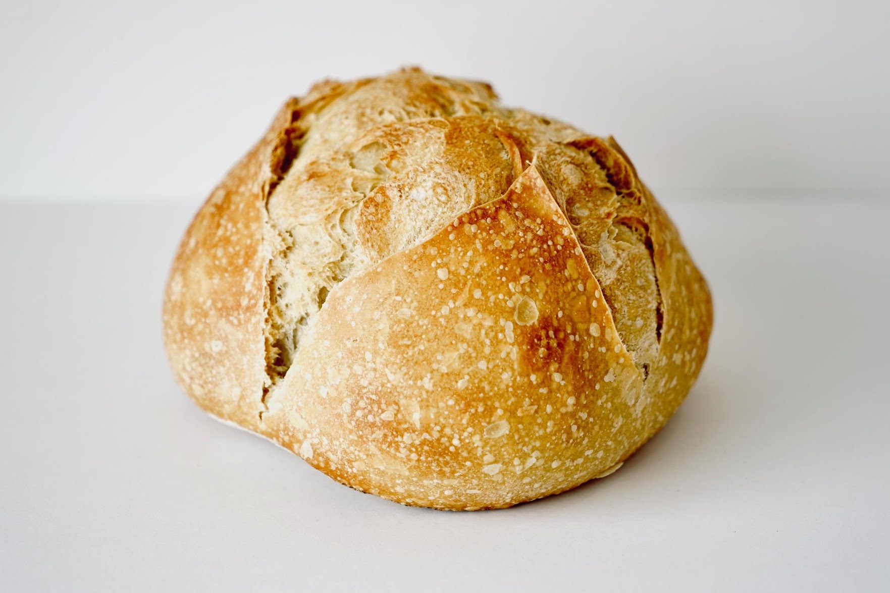 Sanford Sourdough Bakery & Market by null