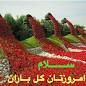 Image result for u202bشعر جديد براي صبحu202c