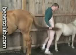 Hardore horse pussy gaybeast rip beastiality sex video jpg x Man fucks horse pussy