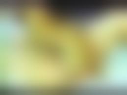 dogs fuck litlle girls|