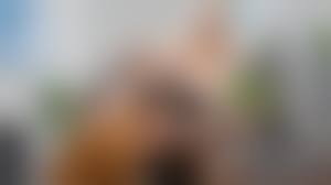 sexy mature secretary nylon pussy licking|Nylon pantyhose facesitting and pussy licking orgasm - Free Porn Videos -  YouPorn