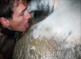 Animal sex cow very nice old cow guy fucks cow blows guy bestiality beastiality zoo extrem sex and taboo porn jpg x Fucks cow