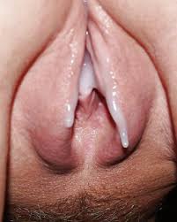 Egm gulgppwwk nvm jpg x Creamy cunt