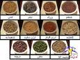 Image result for u202bبذر منداب چيستu202c