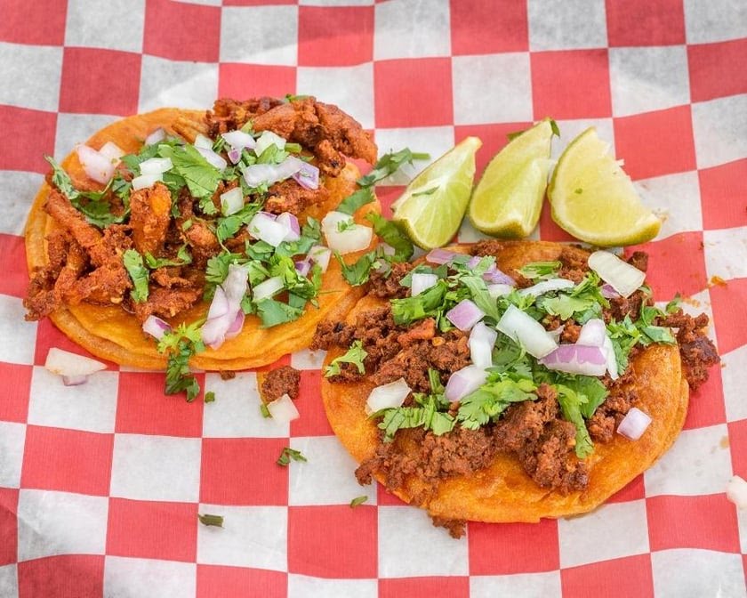 La Tingeria Alexandria by null