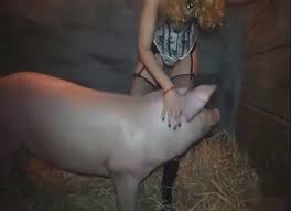 Big pink pig fucking this naughty girl hard zoo porn jpg x Pig fucking