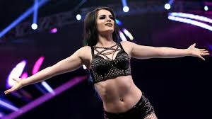 Wwe paige photos high res pictures jpg x Wwe diva paige sex tape