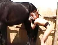 Animal sex beastiality porn jpg x Girls fucking horses