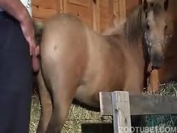 A new mare fucked bare porn videos xhamster jpg x Mare fucking