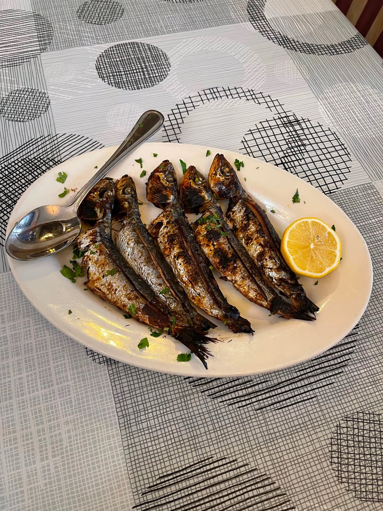 Gregory's 26 Corner Taverna by null