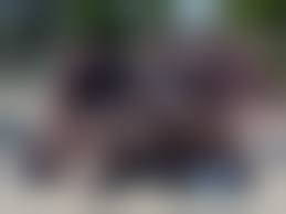 集合写真　パンチラ|素人達の集合写真に映った偶然パンチラ画像集！気付かぬままネットにUPされた写真を厳選( ^ω^ ) |  パンツの極み〜盗撮JK.JD.OL.人妻.洗濯物.染み下着〜