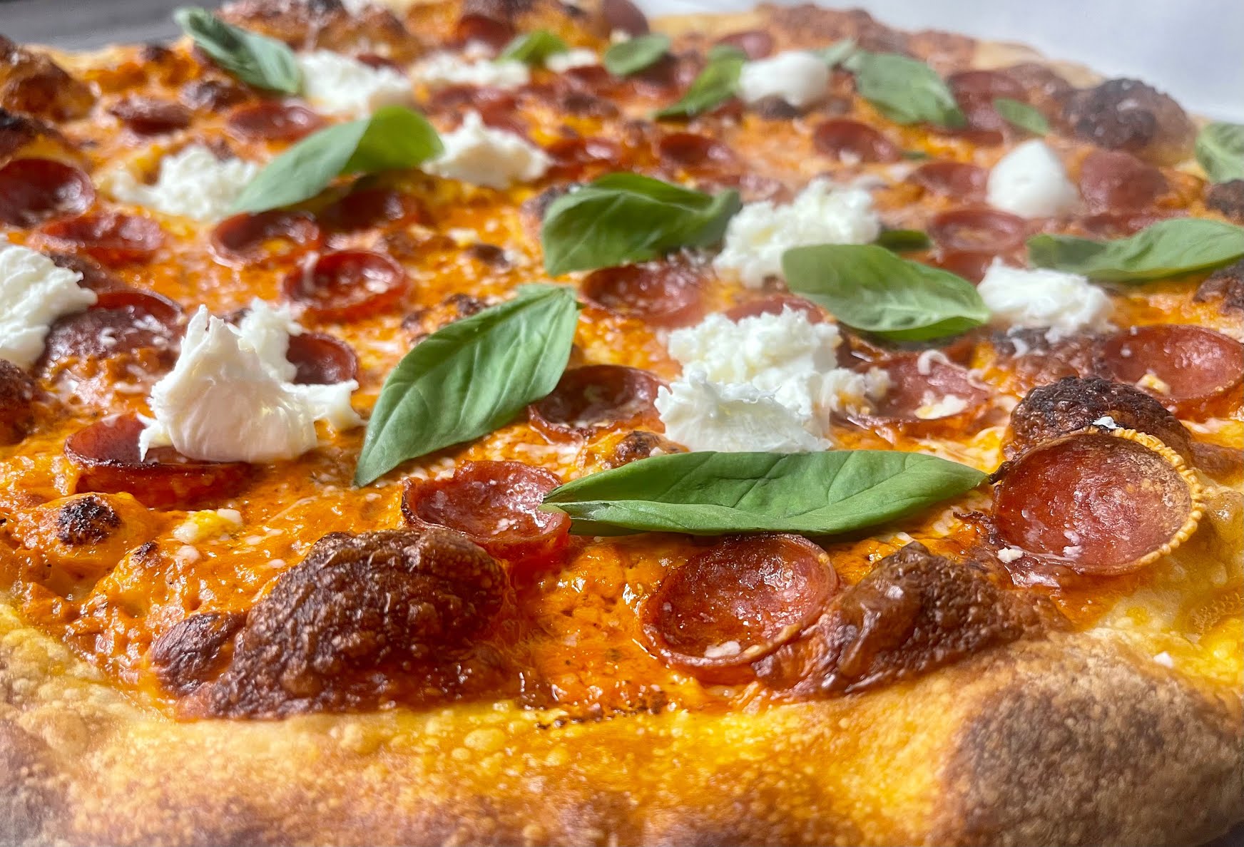 Dough Head Pizza by null