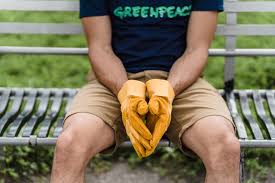 imperia-of-hentai|Pegasus Knight X - Final Version (Full Game)