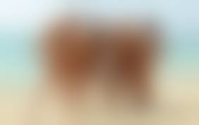 beach nude family|family nudist beach pics pics - Public Nudity and Flashing |  FlashingJungle.com