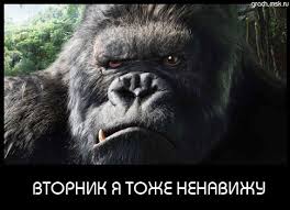 images?q=tbn:ANd9GcQdwPCumcEsXnpd2iury8owqnp_EVIeaBKVyygwLjTtj4sGlNJl