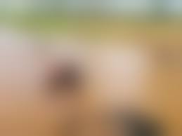 African  boys nude|Richard (@africazim25) / X