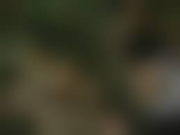  asian rape pussy|Rape Asian With Shaved Pussy Tabaoo Fetish porn