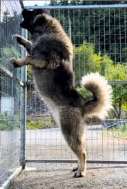 chan Mir hebe garl pussy |https://de.pornhub.com/sitemap_g_vids39.xml