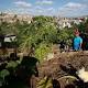 Venezuela is telling hungry city dwellers to grow their own food 