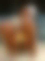 brown girls18.com nude porn |Black Teen Booty | MOTHERLESS.COM ™