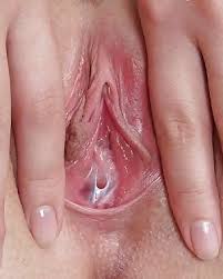 Virgin shaved pussy top rated gosexpod free tube porn videos jpg x Real virgin pussy