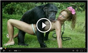 Monkey fuck girl videos porzo porn tube jpg x Monkey fucks girl