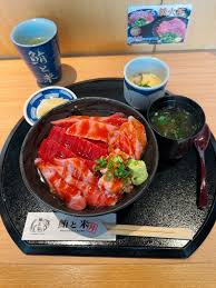 ぽっちゃりまぐろ物産|二所ノ関親方「縁起がいい」部屋に初競りマグロ 新入幕の大の里「おいしいしか言えない」【大相撲】：中日スポーツ・東京中日スポーツ