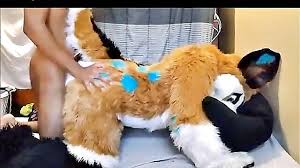 Fursuit sex jpg x Fursuit sex