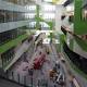 WA Health Department brushes off latest construction woe at $1.2b Perth Children's Hospital 