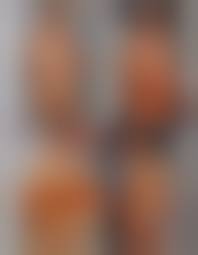 bravo magazine nude|Bravo 12 Nov 1981 (lovebirds) – Bravo Posters