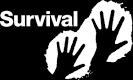  See full-sized image  