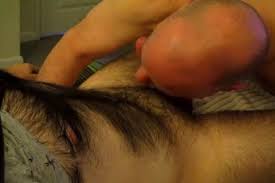 Gay hairy otter jpg x Gay hairy otter