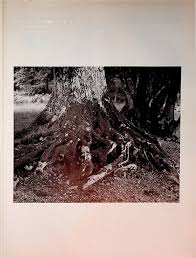 Seasonal holidays jpg x Jim redgewell
