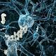 US death rate from Alzheimer's rose dramatically over 15 years. Why? 