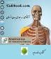 Image result for u202bکتاب آناتومي تدريس استاد فراهانيu202c