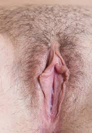 Wet pussy close jpg x Pussy close up