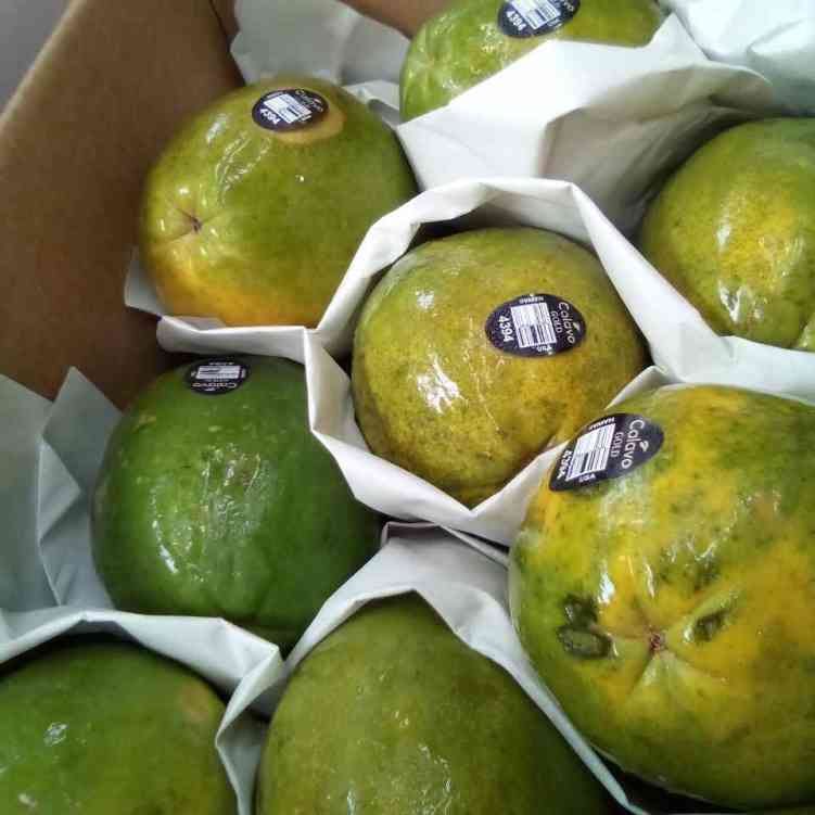 Mr Fruit and Vegetable Inc by null