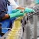 Holden jobs: SA Government considers food manufacturing for Adelaide's ... 