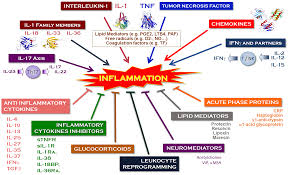 han gain fake porn|The Robert H. N. Ho Family Foundation Greater China Research Grant Papers |  Resurfacing Hong Kong in Southeast Asia: Circulations of Photography from  the 1930s to the Handover | Asia Art Archive