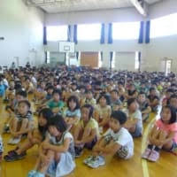 小学生女児 パンチラ|ショーツ ジュニア 21枚 jc js 中学生 小学生 女子 パンツ ブラ キャミソール ハーフトップ 下着 スパッツ 165 160 150  の商品詳細 | Yahoo!オークション | One Map by FROM JAPAN