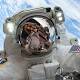 Viral Facebook pages are passing off old space clips as live footage to millions of viewers 