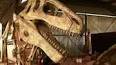 A História Fascinante dos Fósseis de Dinossauros ile ilgili video