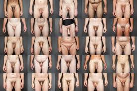 Normal size dick porn videos jpg x Normal size dick