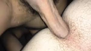 Shemale bareback creampie jpg x Shemale bareback creampie