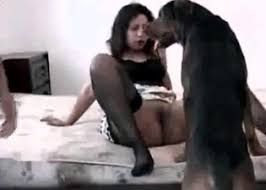 Xxx girl dog sexy media girls jpg x Sex with female dog