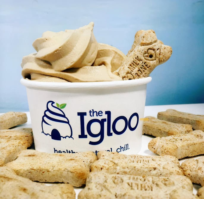 The Igloo by null