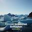 Küresel Isınmanın Antarktika'ya Etkileri ile ilgili video